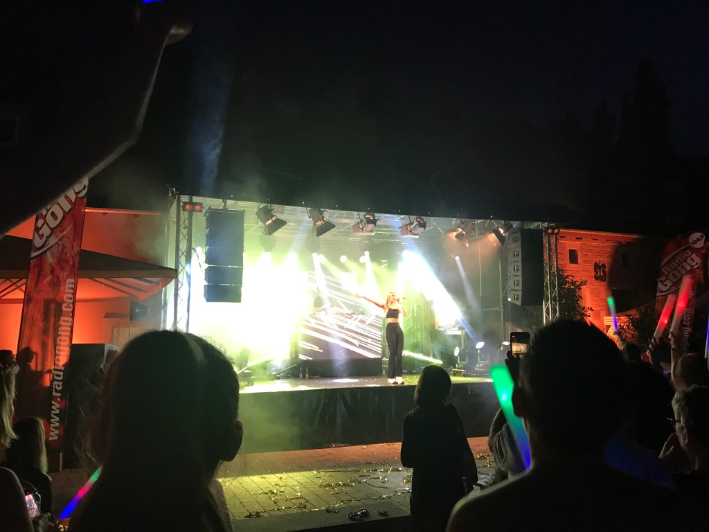 #781² VISITING A MUSIC CONCERT IN COVID-19&nbsp;TIMES