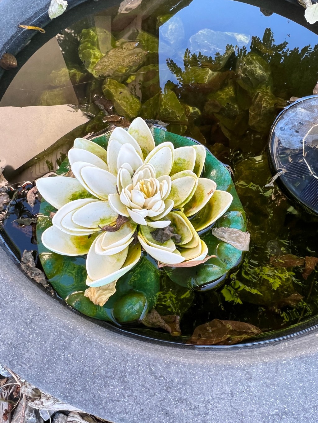 #826² IPHONE 13 PRO – ONE WEEK REVIEW