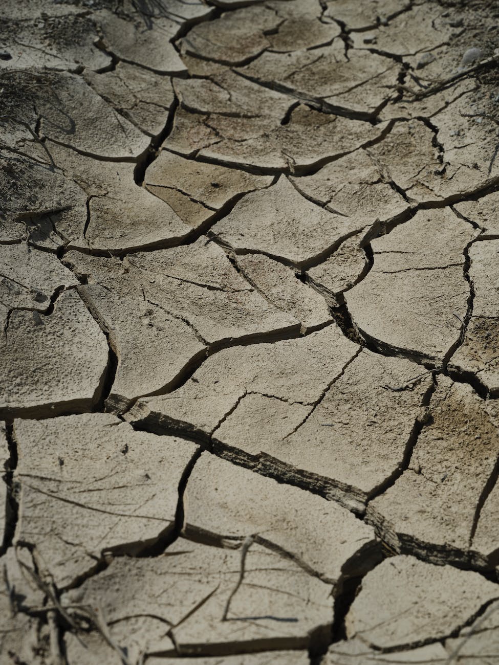 #1169² RACING IS LIFE² – S8 E2 – CRITICIZE&nbsp;YOURSELF