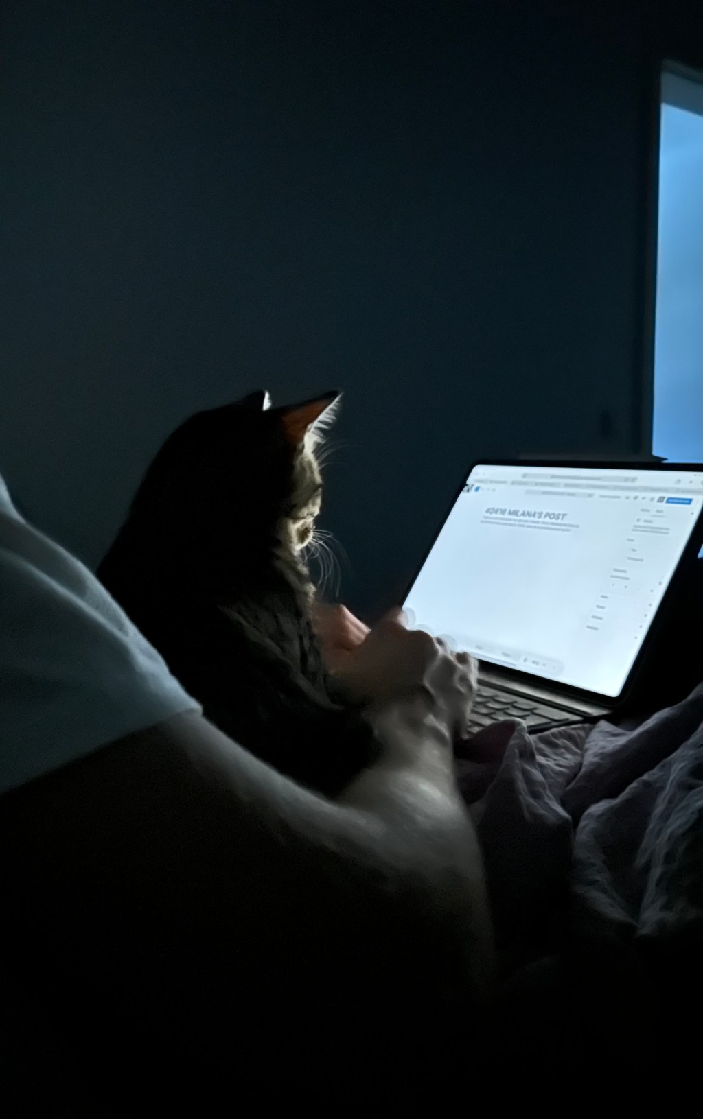 #2416 MILANA’S POST